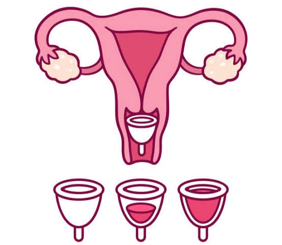 Menstrual Cup Using