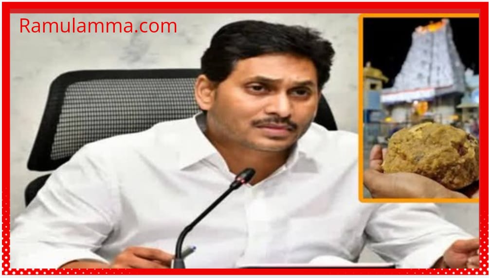 Tirumala Laddu Issue : మానవత్వం మతమా..!?